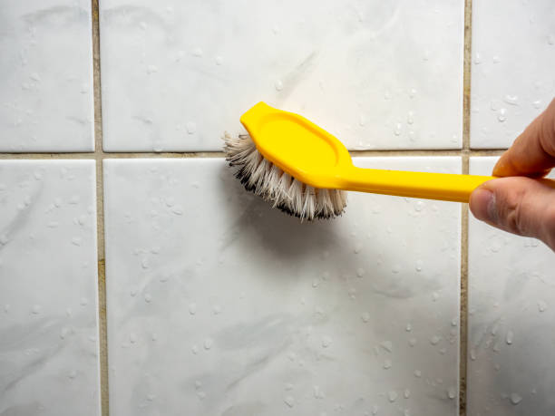 Best Local Mold Removal Service  in Foley, MN