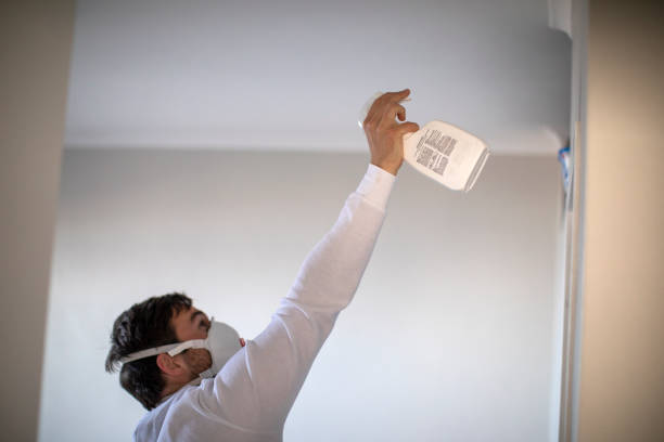 Office Mold Removal Services in Foley, MN